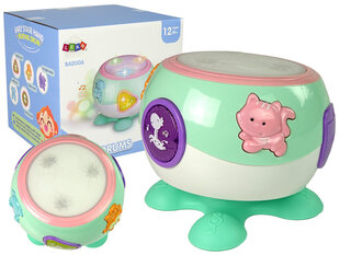 Интерактивный барабан для детей, зеленый цена и информация | Развивающие игрушки | 220.lv
