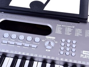 Детский синтезатор с микрофоном - SD-6118, серебристый цена и информация | Развивающие игрушки | 220.lv