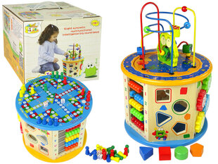 Izglītojošs labirints ar galda spēli cena un informācija | Attīstošās rotaļlietas | 220.lv