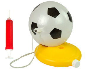 Футбольный мяч с аксессуарами цена и информация | Игры на открытом воздухе | 220.lv