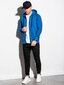 Vīriešu džemperis Ombre B1083 zils cena un informācija | Vīriešu jakas | 220.lv