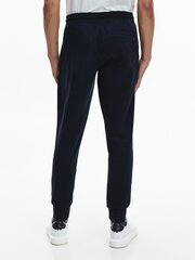 Мужские спортивные штаны Tommy Hilfiger LINES HILFIGER SWEATPANT, темно-синие MW0MW20953 DW5 40746 цена и информация | Мужская спортивная одежда | 220.lv