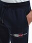Sporta bikses vīriešiem Tommy Hilfiger LINES HILFIGER SWEATPANT, tumši zilas MW0MW20953 DW5 40746 cena un informācija | Sporta apģērbs vīriešiem | 220.lv