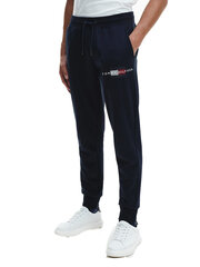 Мужские спортивные штаны Tommy Hilfiger LINES HILFIGER SWEATPANT, темно-синие MW0MW20953 DW5 40746 цена и информация | Мужская спортивная одежда | 220.lv