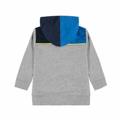 Zēnu džemperis, Tom Tailor cena un informācija | Zēnu jakas, džemperi, žaketes, vestes | 220.lv