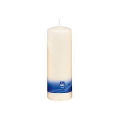 Galda svece, 160x58 mm, ziloņkaula krāsā cena un informācija | Sveces un svečturi | 220.lv