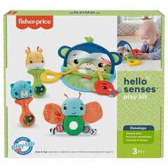 Fisher-Price игровой комплект для возраста 3+ месяцев HFJ92 цена и информация | Игрушки для малышей | 220.lv