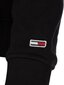 Sporta džemperis sievietēm Tommy Hilfiger GLOW IN THE DARK FLAG DW0DW11301 BDS 40854 цена и информация | Sieviešu džemperi | 220.lv