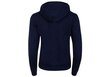 Sieviešu džemperis Tommy Hilfiger TJW REGULAR FLEECE HOODIE TUMŠI ZILS DW0DW09228 C87 26935 цена и информация | Sieviešu džemperi | 220.lv