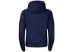 Sporta džemperis sievietēm Tommy Hilfiger TJW TOMMY CENTER BADGE HOODIE TJW DW0DW10403 C87 39063 цена и информация | Sieviešu džemperi | 220.lv