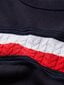 Džemperis sievietēm Tommy Hilfiger TH ESS GLOBAL STP C-NK, tumši zils WW0WW28874 DW5 41207 cena un informācija | Sieviešu džemperi | 220.lv