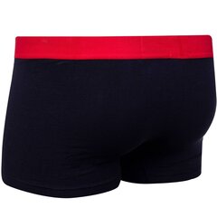 Мужские трусы TOMMY HILFIGER TRUNK, темно-синие UM0UM02178 DW5 40889 цена и информация | Мужские трусы | 220.lv