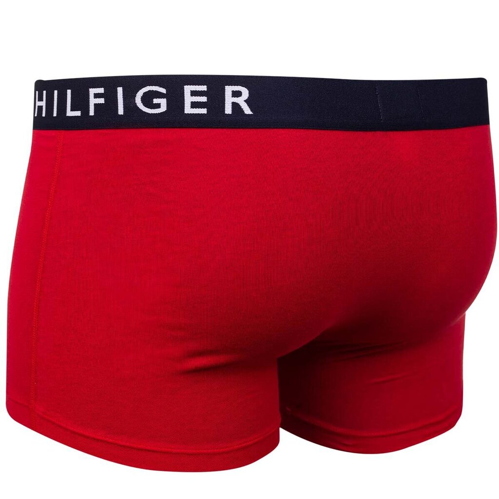 Apakšbikses vīriešiem Tommy Hilfiger 3 pāri, zilas / sarkanas / pelēkas UM0UM02202 0RU 40852 цена и информация | Vīriešu apakšbikses | 220.lv