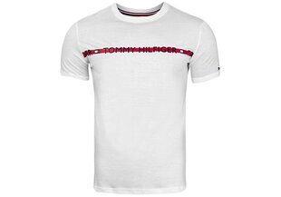 Мужская футболка Tommy Hilfiger CN SS TEE LOGO WHITE UM0UM01915 YBR 29079 цена и информация | Мужские футболки | 220.lv