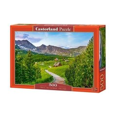 Castorland puzle TRAIL IN TATRAS, POLAND 500 det. cena un informācija | Puzles, 3D puzles | 220.lv