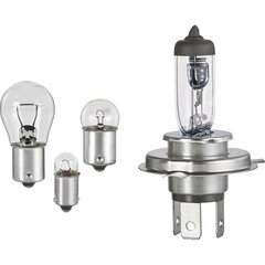 Лампа накаливания FORMULA 1 SK400 цена и информация | Автомобильные лампочки | 220.lv