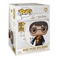 Funko POP! Harry Potter - Harry Potter with Hedwig цена и информация | Datorspēļu suvenīri | 220.lv