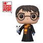 Funko POP! Harry Potter - Harry Potter with Hedwig cena un informācija | Datorspēļu suvenīri | 220.lv