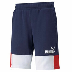 Спортивные мужские шорты Puma Essentials+ Block цена и информация | Мужская спортивная одежда | 220.lv