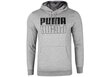 Sporta jaka vīriešiem Puma POWER HOODIE, pelēka 589409 03 38143 цена и информация | Sporta apģērbs vīriešiem | 220.lv