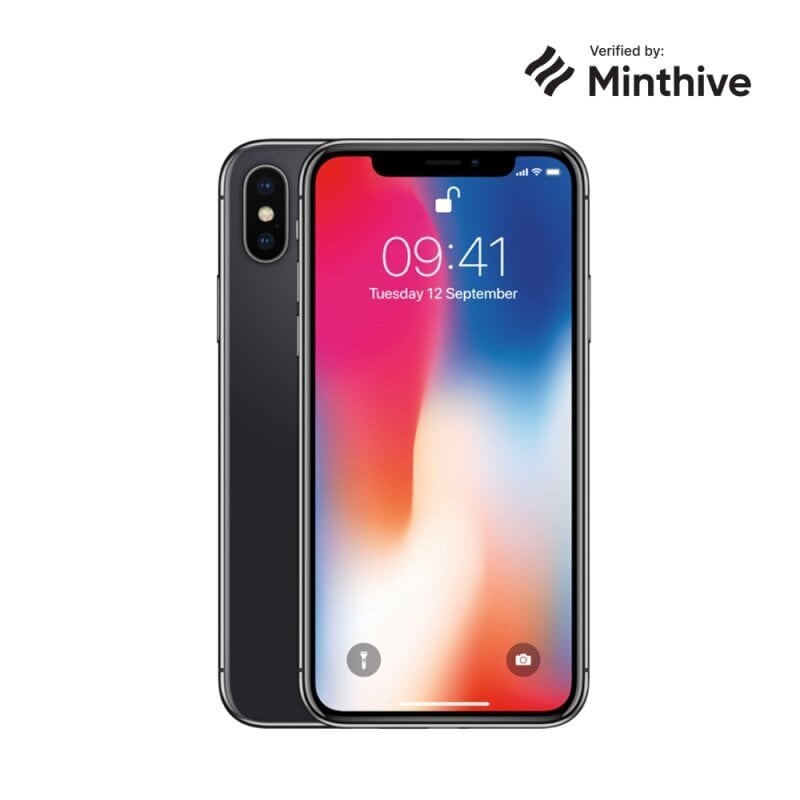 Apple iPhone X 256GB Grey cena un informācija | Mobilie telefoni | 220.lv