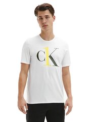 Футболка мужская Calvin Klein S/S CREW NECK WHITE 000NM1903E KLR 29733 цена и информация | Мужские футболки | 220.lv