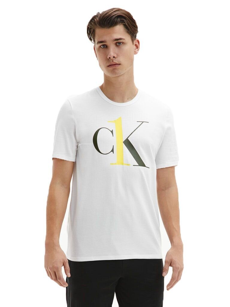 T krekls vīriešu Calvin Klein S/S CREW NECK BALTS 000NM1903E KLR 29733 cena un informācija | Vīriešu T-krekli | 220.lv