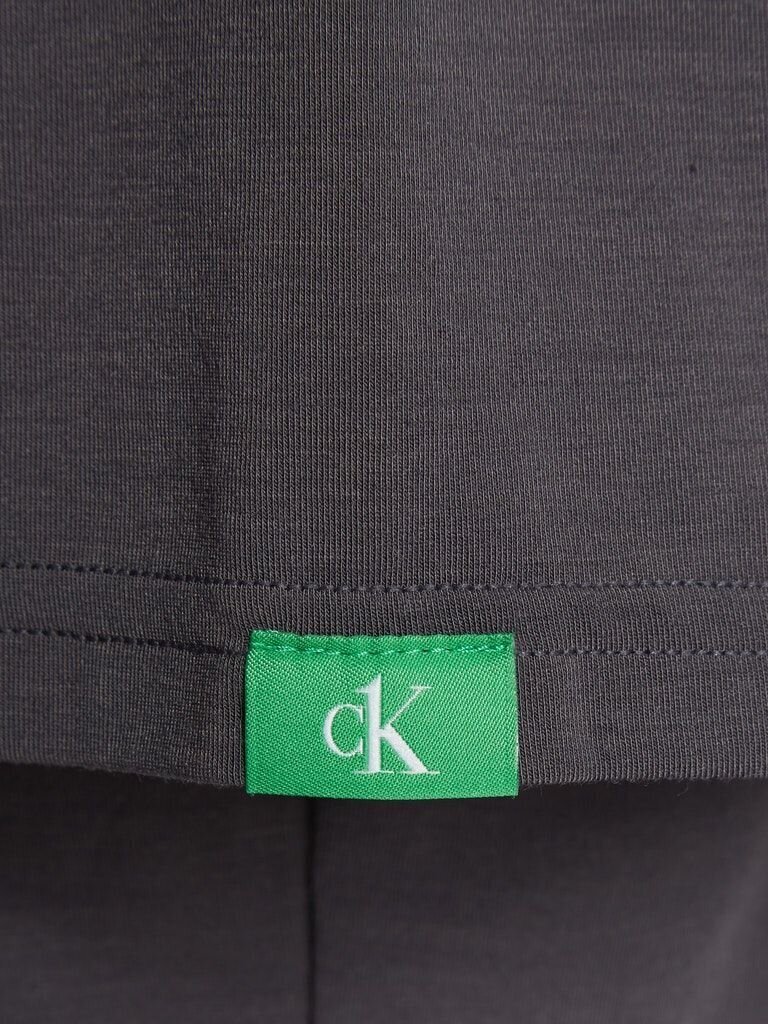 Vīriešu T krekls Calvin Klein S/S CREW NECK PELĒKS 000NB2364E JF2 29735 cena un informācija | Vīriešu T-krekli | 220.lv