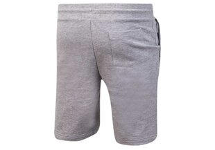 Короткие мужские шорты Tommy Hilfiger SHORT HWK GRAY UM0UM00707 004 30220 цена и информация | Мужские шорты | 220.lv