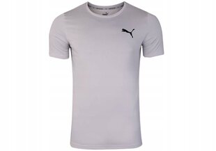 T-krekls vīriešiem Puma ACTIVE SMALL LOGO TEE, pelēks 586725 09 38138 цена и информация | Мужские футболки | 220.lv