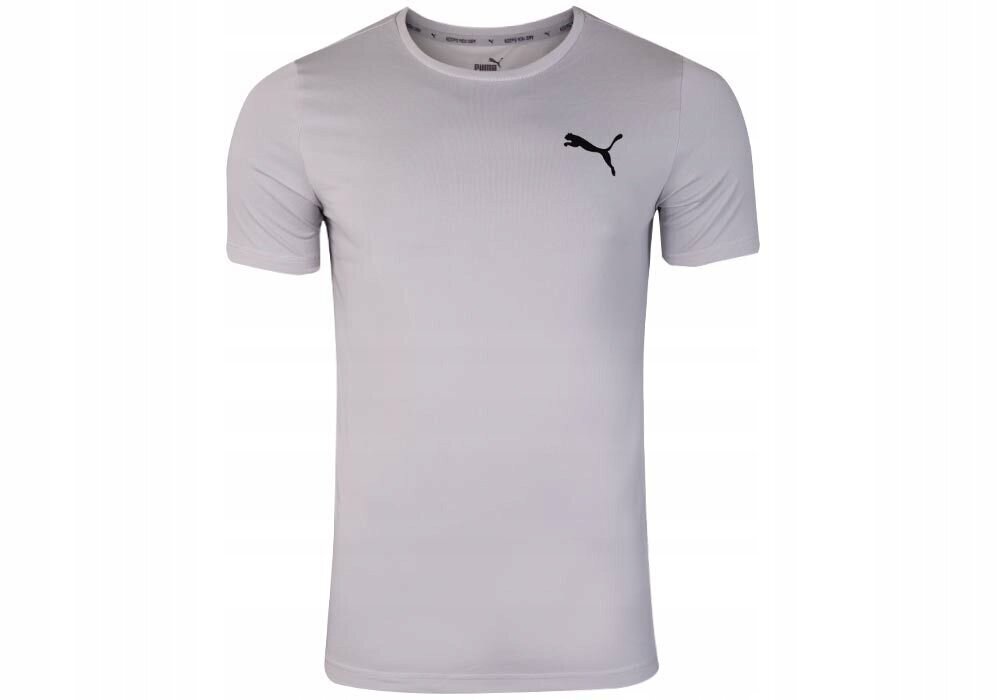 T-krekls vīriešiem Puma ACTIVE SMALL LOGO TEE, pelēks 586725 09 38138 цена и информация | Vīriešu T-krekli | 220.lv