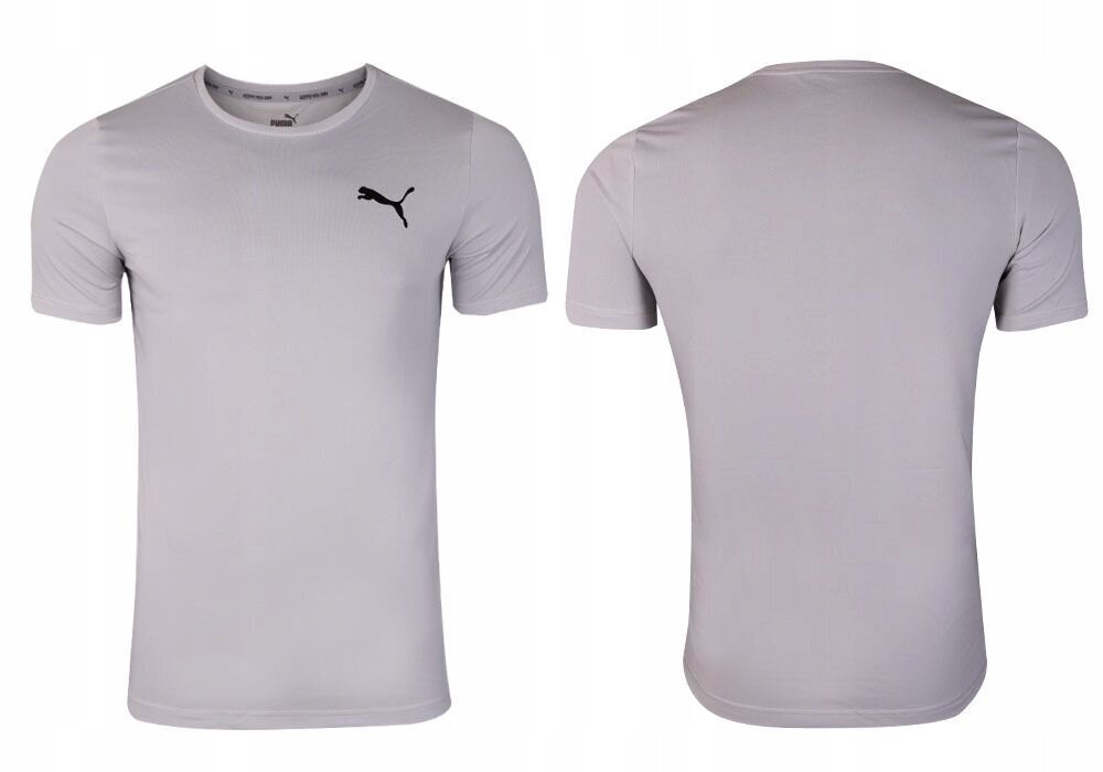 T-krekls vīriešiem Puma ACTIVE SMALL LOGO TEE, pelēks 586725 09 38138 цена и информация | Vīriešu T-krekli | 220.lv