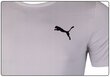 T-krekls vīriešiem Puma ACTIVE SMALL LOGO TEE, pelēks 586725 09 38138 cena un informācija | Vīriešu T-krekli | 220.lv