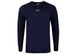 T-krekls vīriešiem Tommy Hilfiger TJM TINY TOMMY SCRIPT TEE, tumši zils DM0DM11603 C87 39082 цена и информация | Vīriešu T-krekli | 220.lv