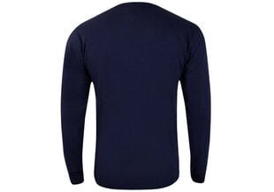 Мужская футболка Tommy Hilfiger TJM TINY TOMMY SCRIPT TEE, темно-синяя DM0DM11603 C87 39082 цена и информация | Мужские футболки | 220.lv