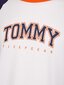 T-krekls vīriešiem Tommy Hilfiger T-SHIRT CN SS TEE LOGO, balts UM0UM02351 DY4 40798 cena un informācija | Vīriešu T-krekli | 220.lv