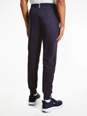 Sporta bikses vīriešiem Tommy Hilfiger GRAPHIC PANT, tumši zilas, MW0MW19763 DW5 41827 цена и информация | Мужская спортивная одежда | 220.lv