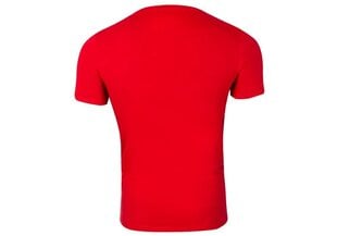 Vīriešu T-krekls Guess CN SS CORE TEE RED M1RI24J1311 G532 43512 cena un informācija | Vīriešu T-krekli | 220.lv