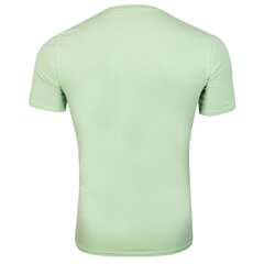 Vīriešu T-krekls Guess T-KREKLS VN SS CORE TEE GREEN M1RI32J1311 A80G 43614 cena un informācija | Vīriešu T-krekli | 220.lv