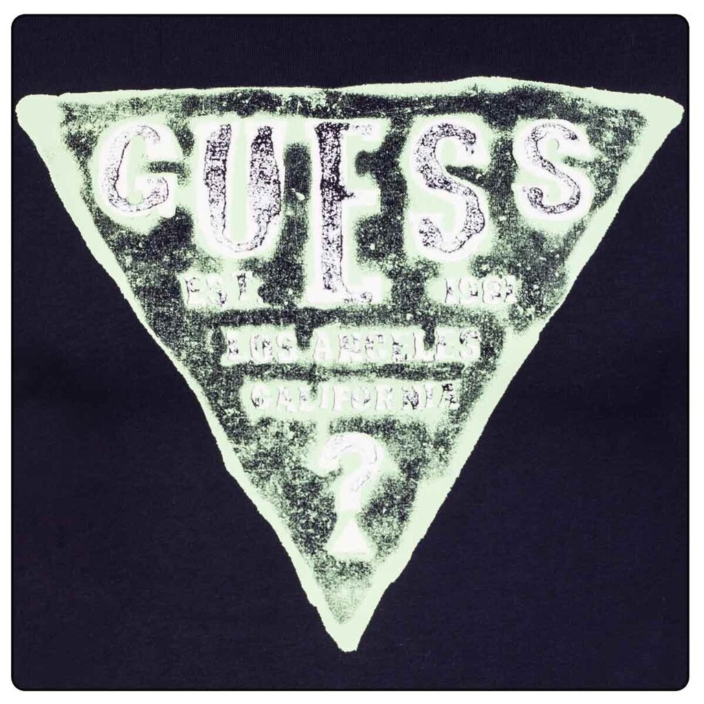 Vīriešu T-krekls Guess T-SHIRT RUSTY CN SS TEE NAVY M2GI08J1311 G7V2 43642 cena un informācija | Vīriešu T-krekli | 220.lv