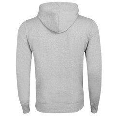 Sporta džemperis vīriešiem Tommy Hilfiger TJM STRAIGHT HOODIE, pelēks DM0DM11632 P01 41649 цена и информация | Мужские свитера | 220.lv