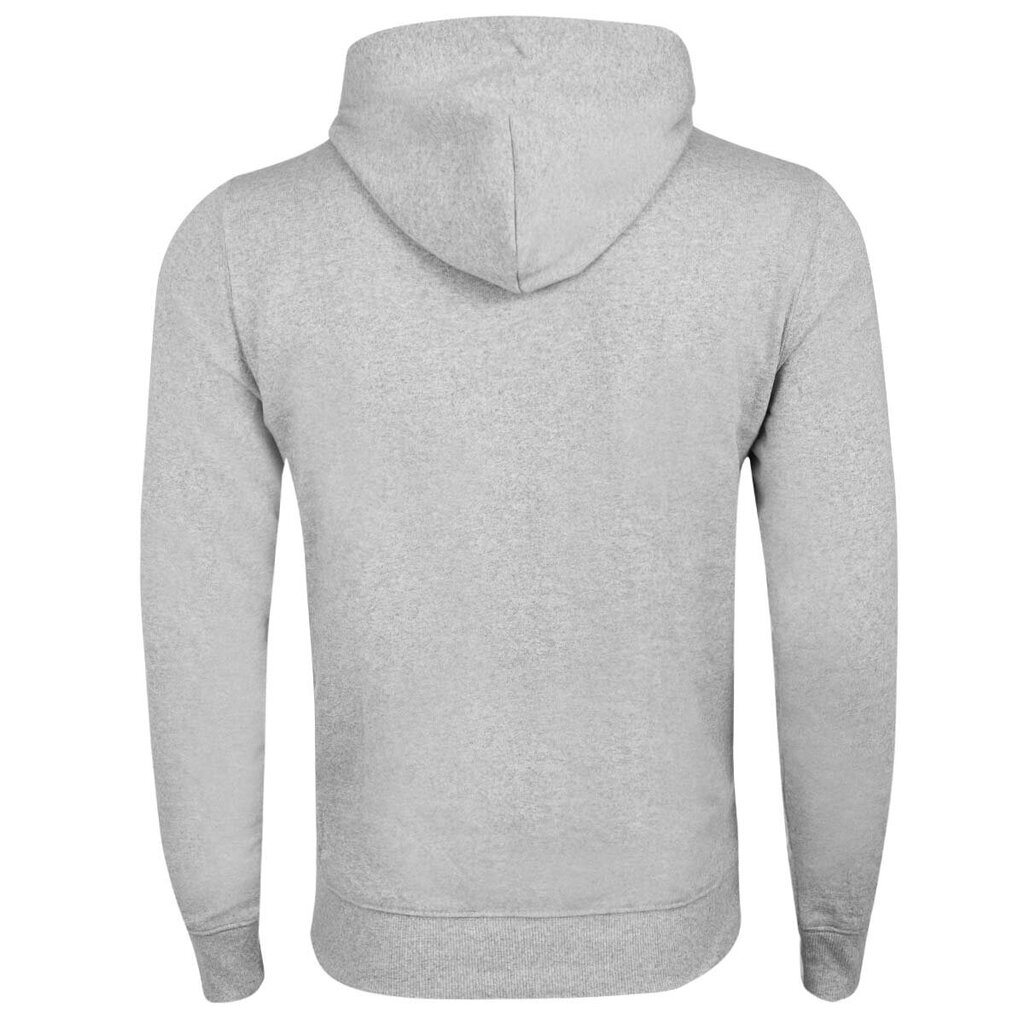Sporta džemperis vīriešiem Tommy Hilfiger TJM STRAIGHT HOODIE, pelēks DM0DM11632 P01 41649 cena un informācija | Vīriešu džemperi | 220.lv