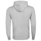 Sporta džemperis vīriešiem Tommy Hilfiger TJM STRAIGHT HOODIE, pelēks DM0DM11632 P01 41649 cena un informācija | Vīriešu džemperi | 220.lv