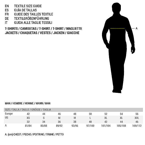 Vīriešu Krekls ar Īsām Piedurknēm Salomon Big Logo Nude Bēšs Brūns S6415937 цена и информация | Sporta apģērbs vīriešiem | 220.lv