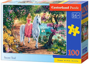 Princese Zirgā *100* cena un informācija | Puzles, 3D puzles | 220.lv