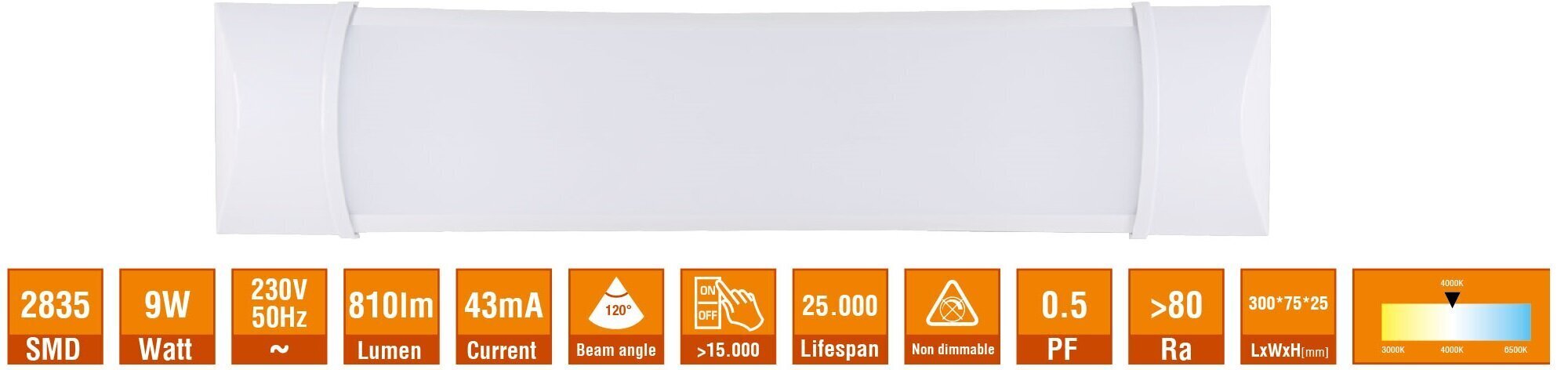 LED Gaismeklis 9W BARY цена и информация | Iebūvējamās lampas, LED paneļi | 220.lv