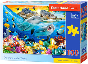 Delfīni *100* cena un informācija | Puzles, 3D puzles | 220.lv