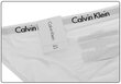 Biksītes sievietēm Calvin Klein Bikini White D1618E 100 30273 cena un informācija | Sieviešu biksītes | 220.lv