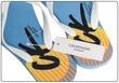 Čības vīriešiem Calvin Klein FF Sandals, zilas KM0KM00500 CAE 14988 cena un informācija | Vīriešu iešļūcenes, čības, sandales | 220.lv