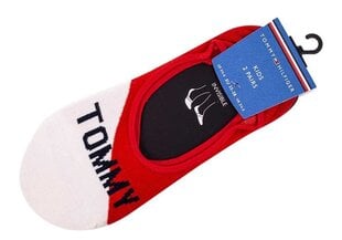 Детские носки Tommy Hilfiger, 2 пары 100002310 001 27308 цена и информация | Носки, колготки для мальчиков | 220.lv
